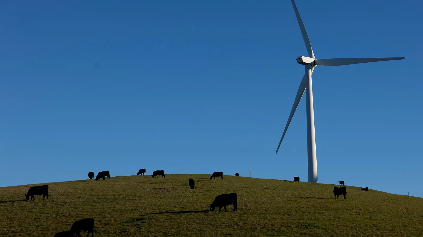PPA-Preise für erneuerbare Energien steigen 2025 um 9% — Speicherverträge boomen